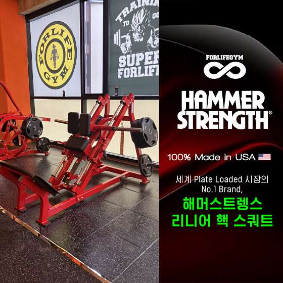 24시평생헬스금호풍암점 이미지
