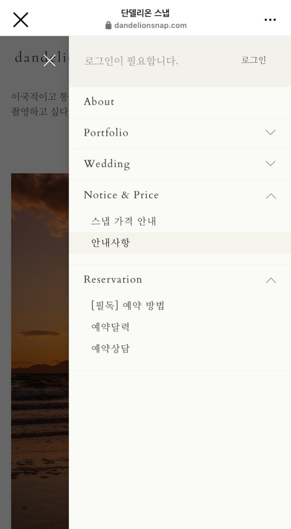 단델리온 이미지