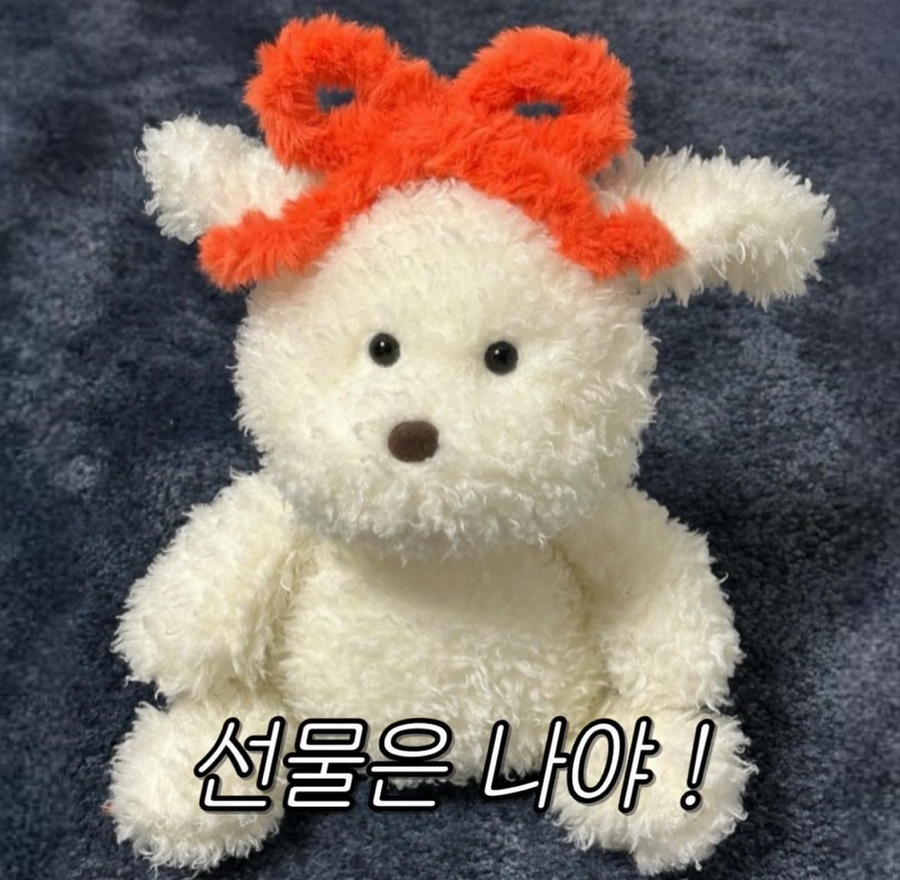 케이스튜디오 이미지