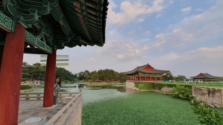 경주남매물회 이미지