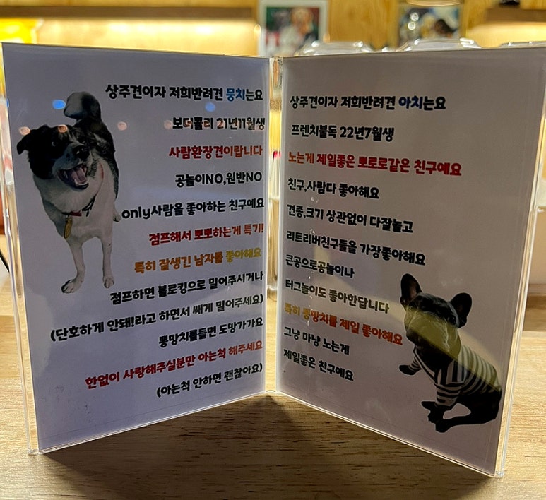 치치댕프탑 이미지