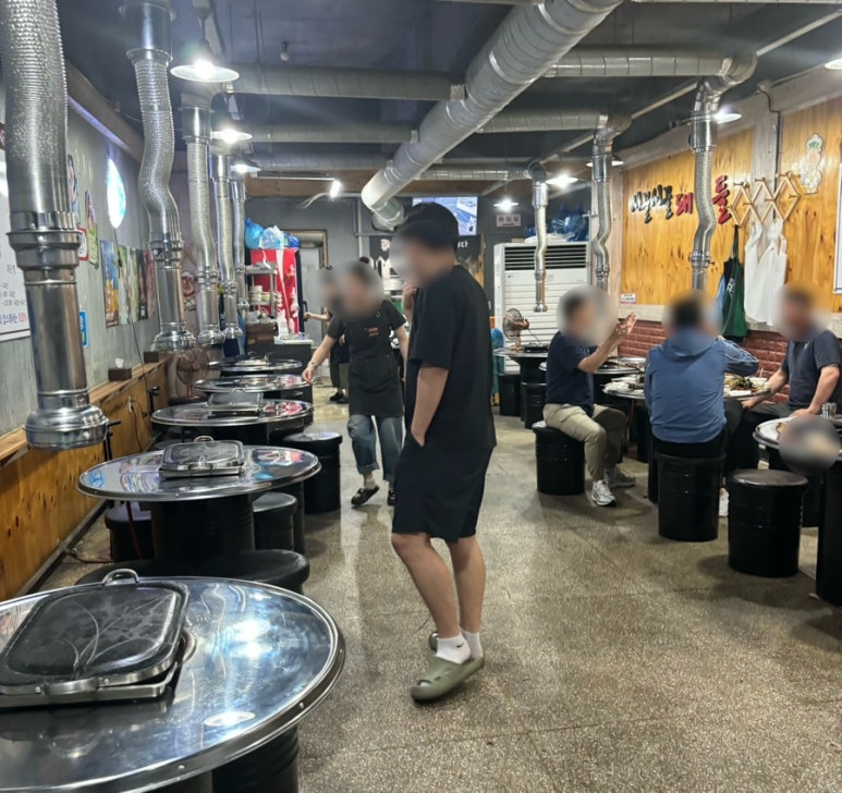 시끌시끌돼지들 이미지
