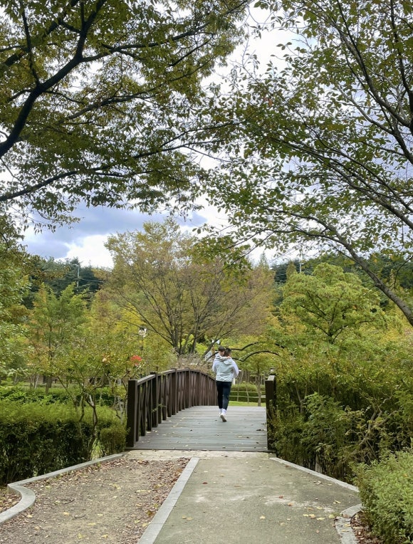 도음산 유아숲체험원 이미지