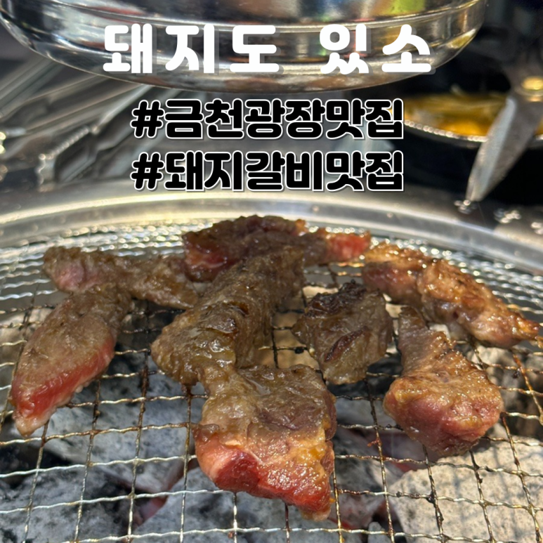 돼지도있소 이미지