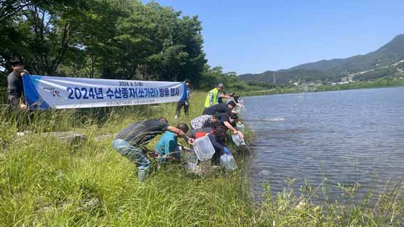 남원종자 이미지