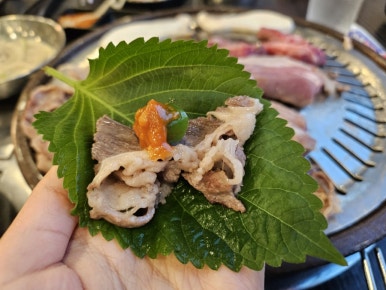 공룡고기시즌2시화점 이미지