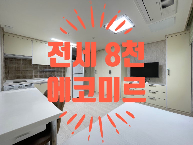 에코미르 이미지