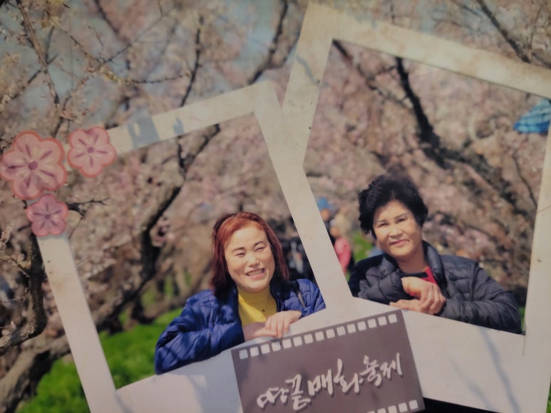 해낭 이미지