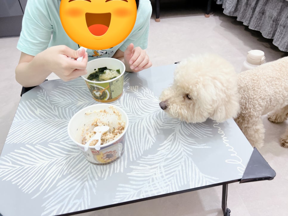 대전 독채 애견펜션, 강아지 수영장 & 운동장 완비 — 사진 12