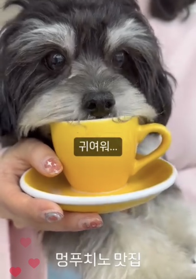 멍박스 이미지