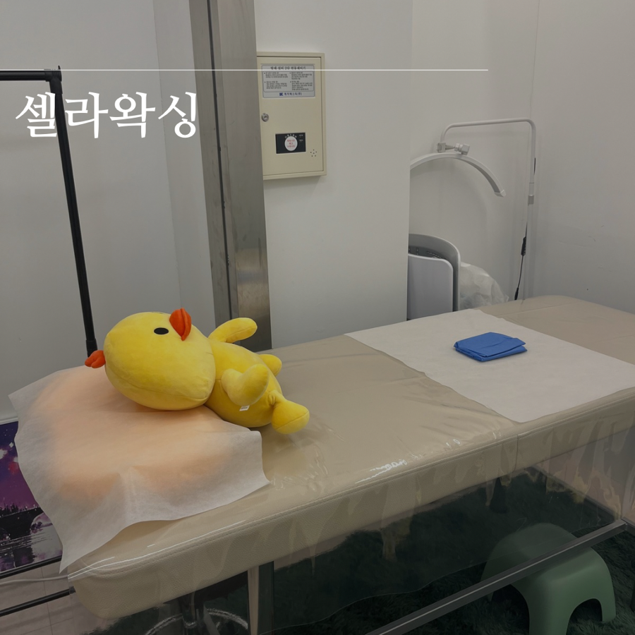 셀라왁싱 이미지