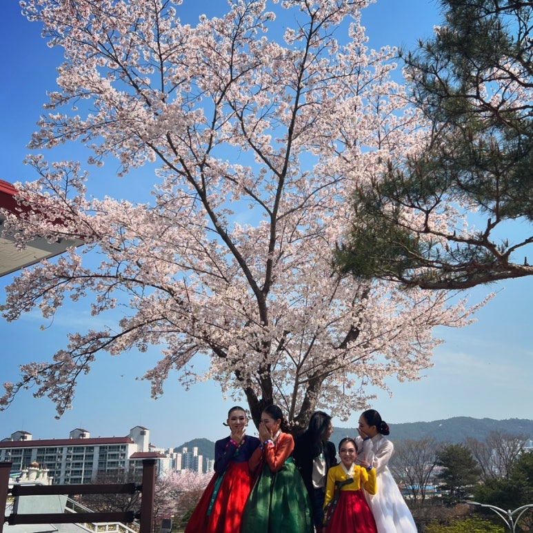 현무용학원 이미지