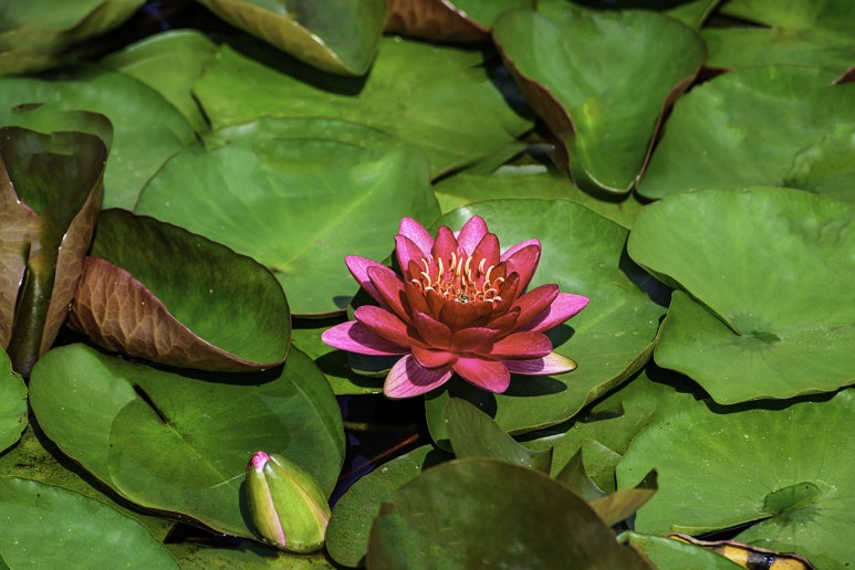 상리공원 이미지