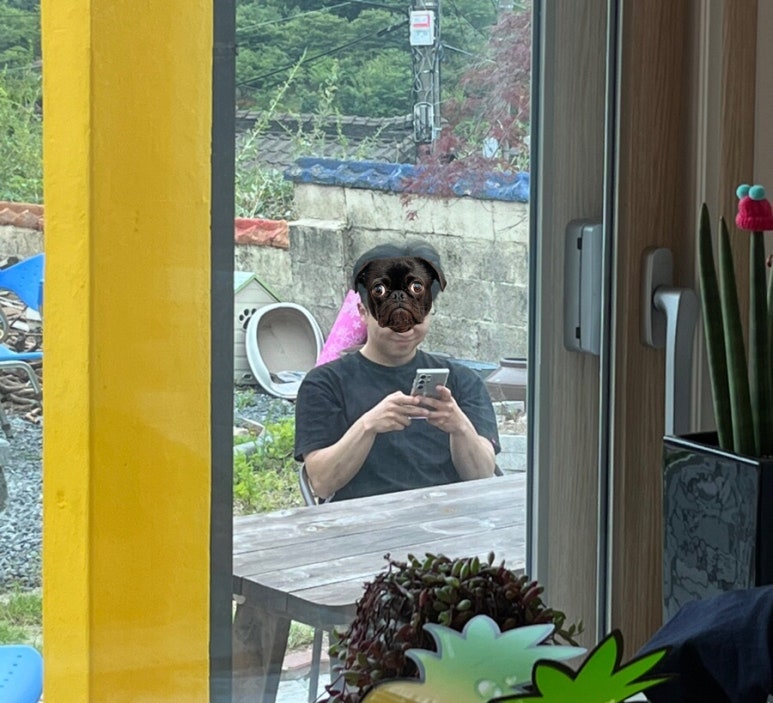 사뚱이네 이미지