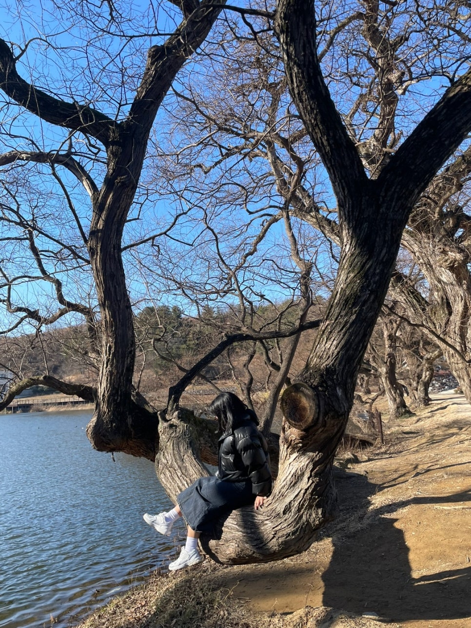 노브랜드버거 경산영남대역점 이미지