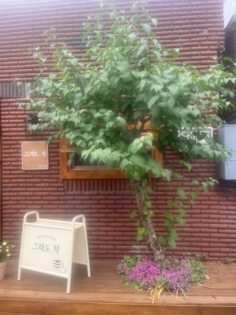 그래도;책 이미지