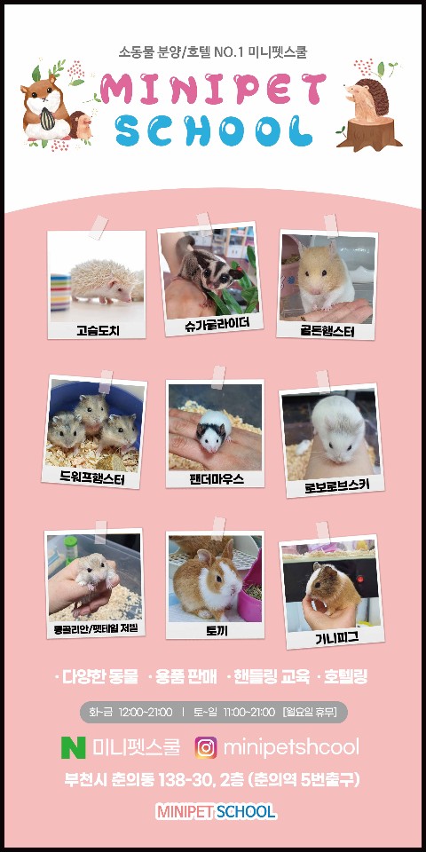 스쿨팬시 이미지