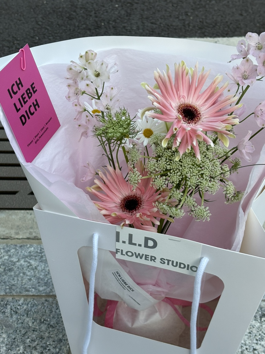 아이엘디 이미지