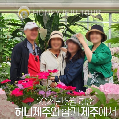 제주다정여행사 이미지