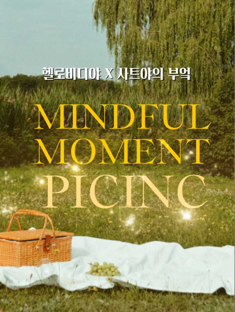 헬로비디야 이미지