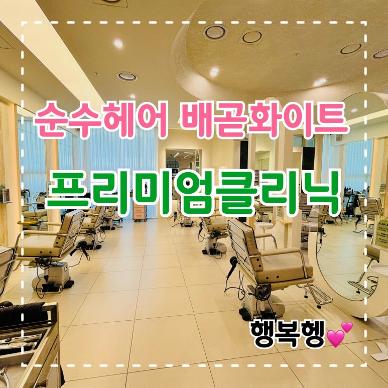 순수배곧화이트점 이미지