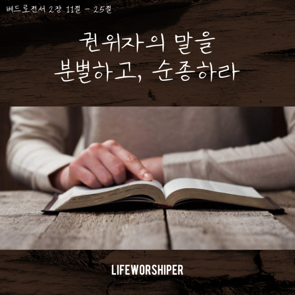라이프T 이미지
