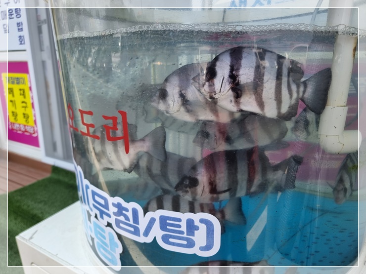 나연회식당 이미지