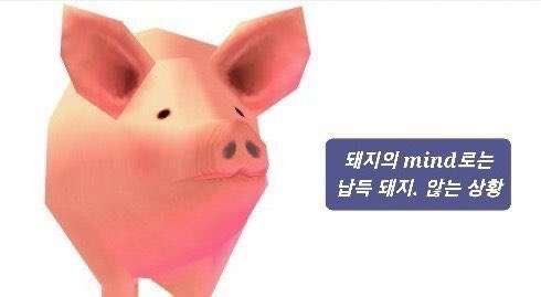 듀듀 이미지