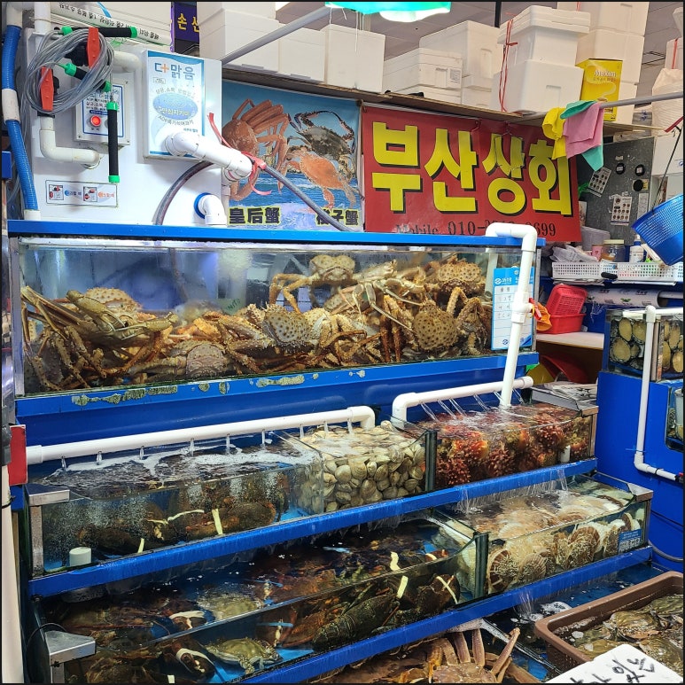 부산상회 이미지