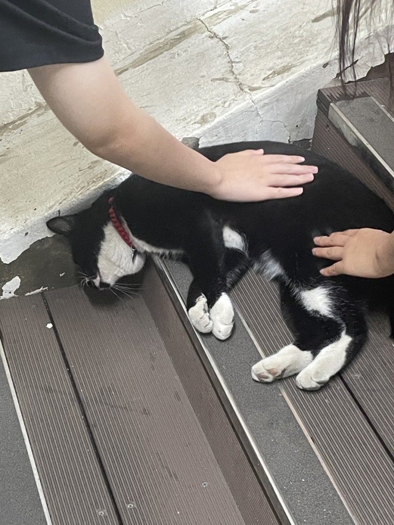 다솜전산 이미지