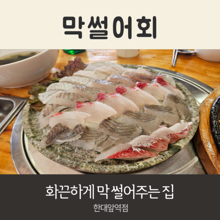 막썰어회 사진 6