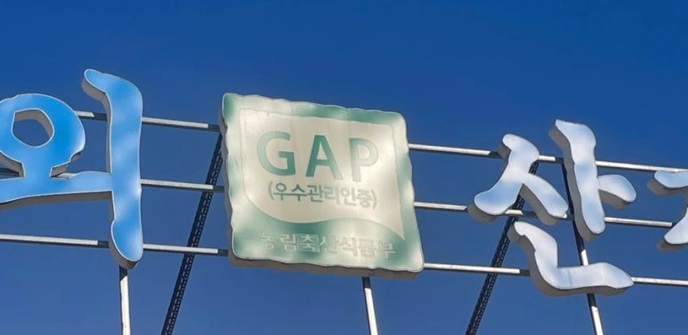 카페옐롱 이미지