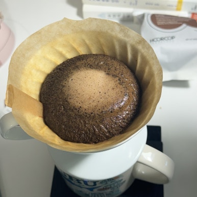 후룹로스터스 이미지