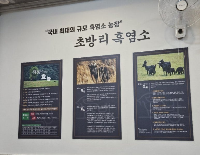 초방리흑염소 이미지