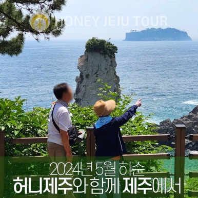 제주다정여행사 이미지