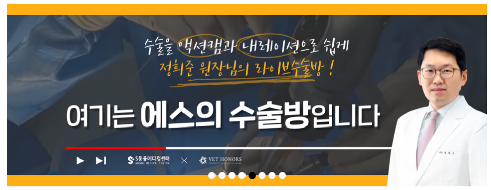 인벳츠 이미지