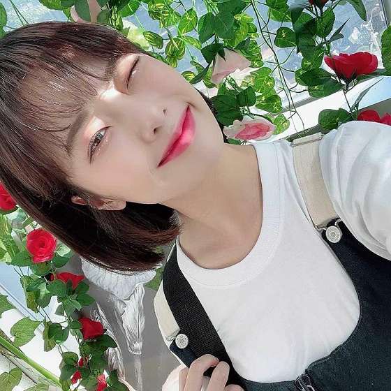 하디헤어 이미지