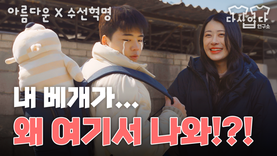 태양수선 이미지