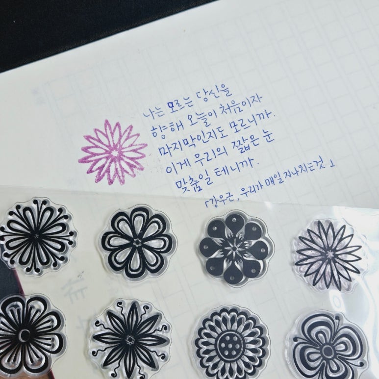 꽃쌤미꽃 이미지