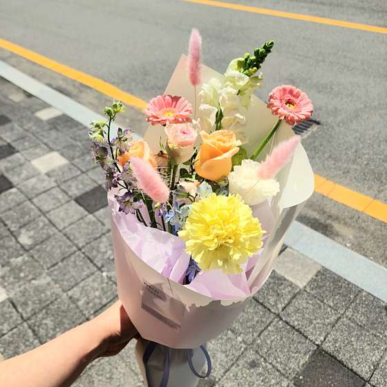 페르레이 이미지