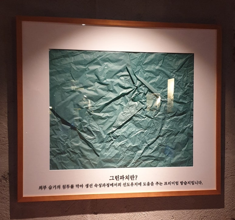 그린파치 이미지