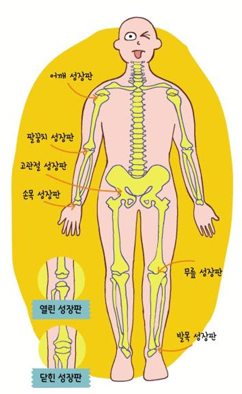 하이클래식필라테스 이미지