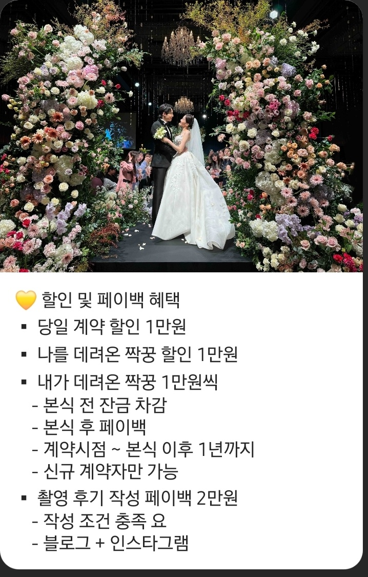 엘로디(Elody) 이미지