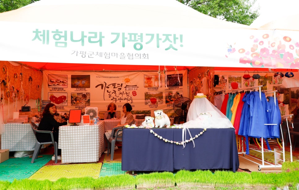 가평군체험마을협의회 이미지