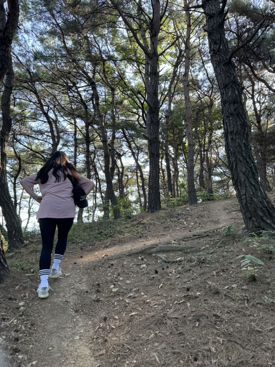 석적농협하나로마트 이미지