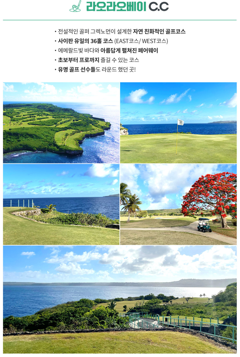 알파골프 이미지