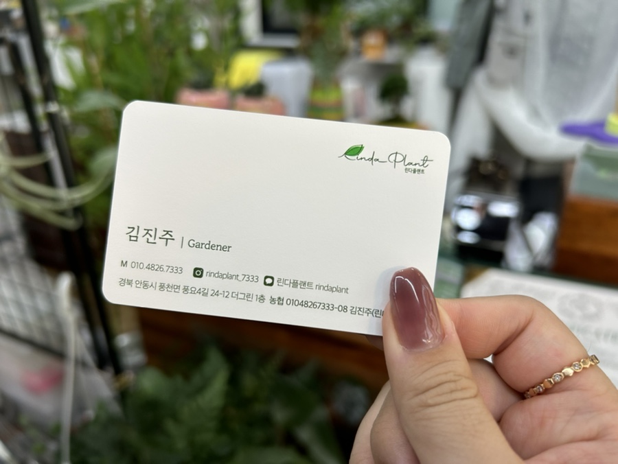린다플랜트 이미지
