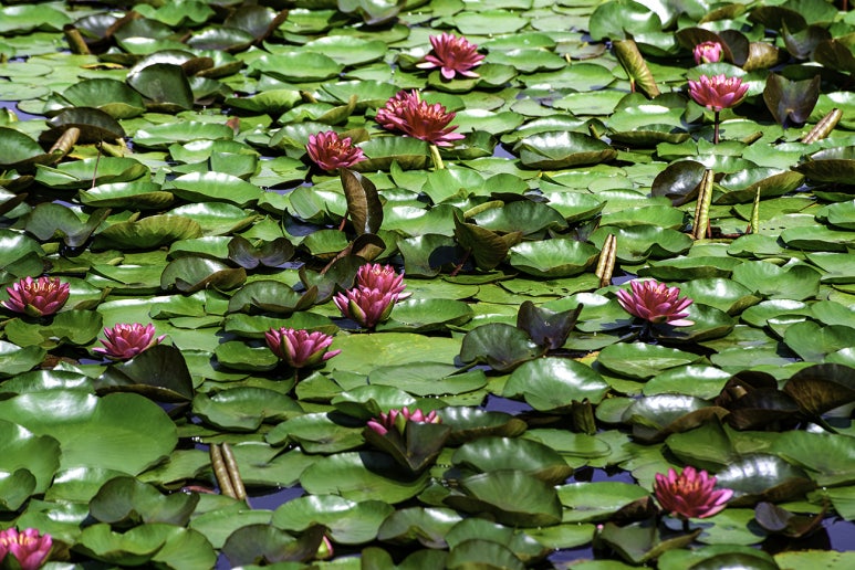 상리공원 이미지