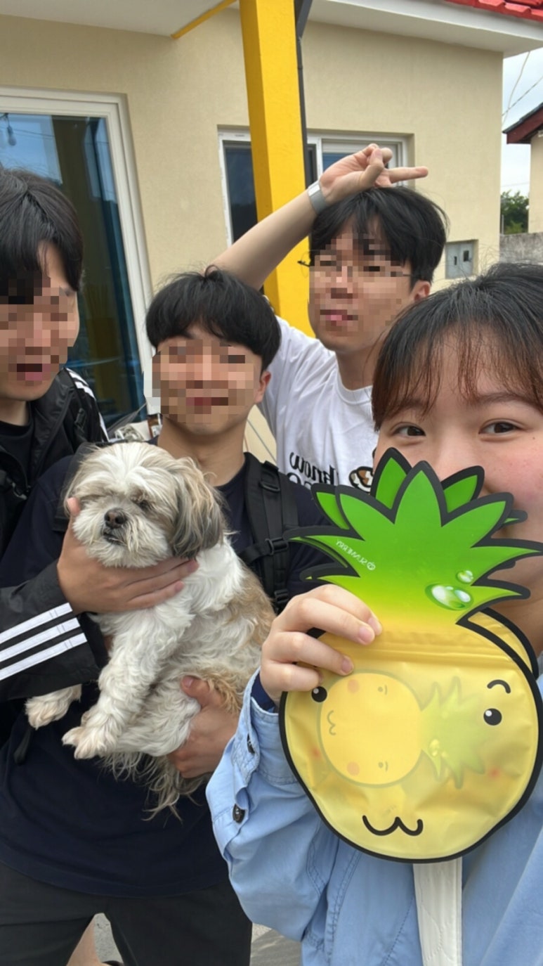 사뚱이네 이미지