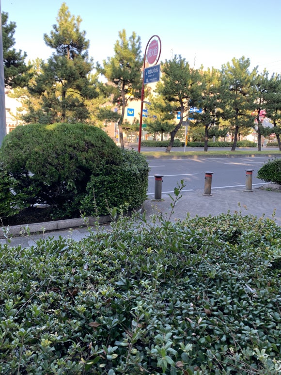 스시후 이미지
